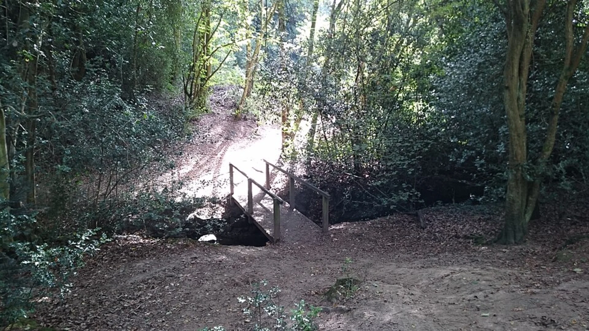 An image depicting the trail Hurst Wood and Beech Wood via Stour Valley Walk and its surrounding area.