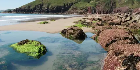 An image depicting the trail Freshwater East - Swanlake Bay and its surrounding area.