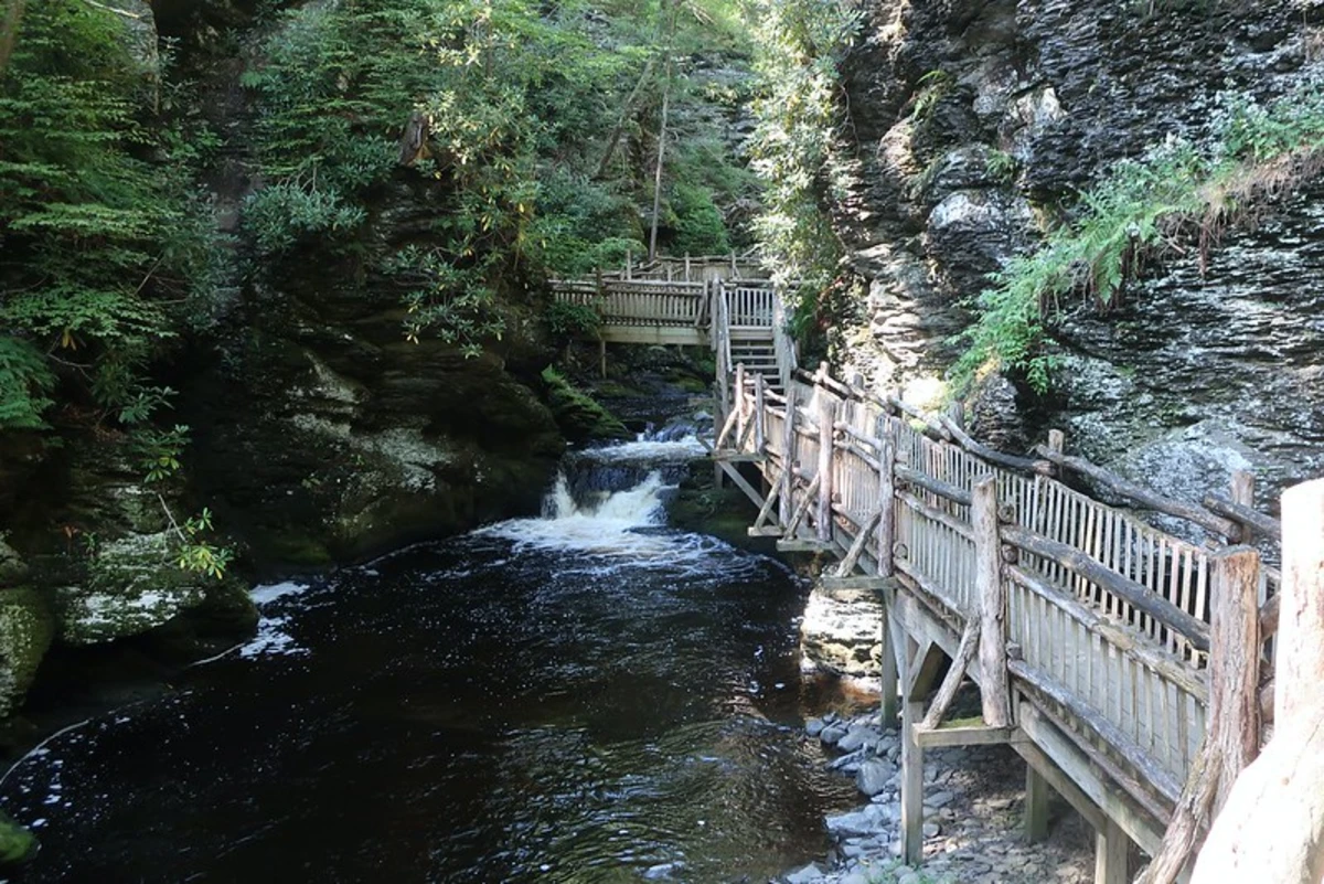 Bushkill Falls and Little Bushkill Creek Loop
