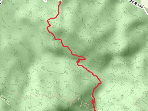 Laguna Creek Out and Back