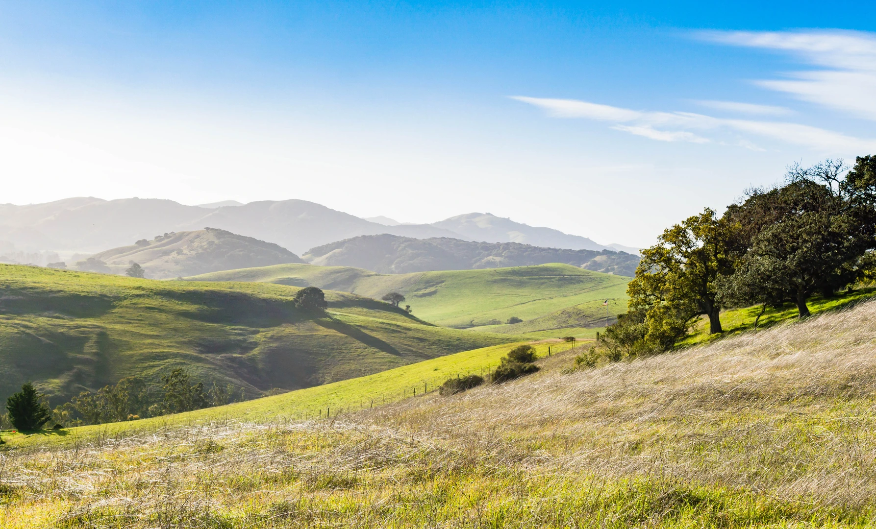 An image depicting the trail Armstrong, Panorama Trail and Ridge Loop Trail and its surrounding area.