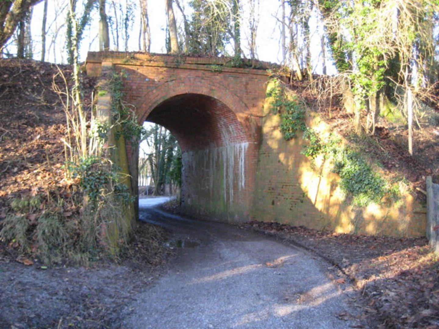 An image depicting the trail Marsh Benham Loop and its surrounding area.