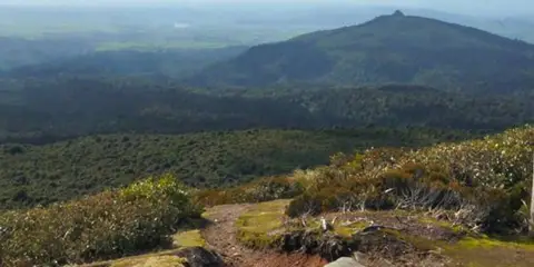 An image depicting the trail Mount Pureora from Link Road and its surrounding area.