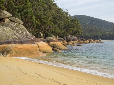 An image depicting the trail Wilsons Promontory - Refuge Cove Trail and its surrounding area.