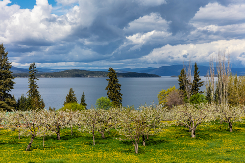 An image depicting the trail Estes Lake Trail and its surrounding area.