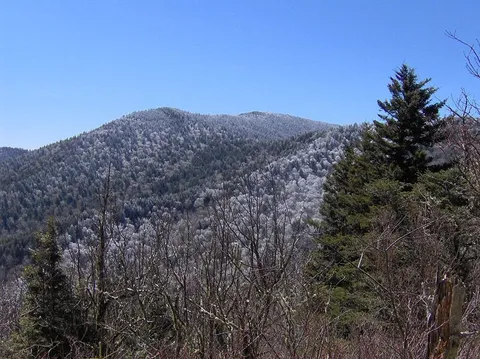 An image depicting the trail Balsam Mountain Trail and its surrounding area.