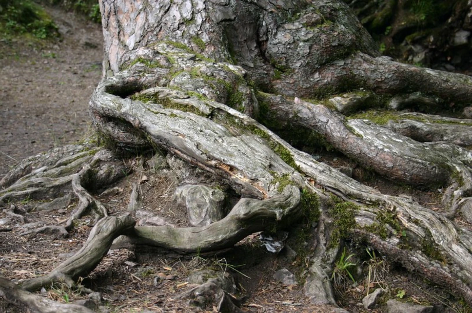 An image depicting the trail Rötenbachschluch and Räuberschlössle Loop and its surrounding area.
