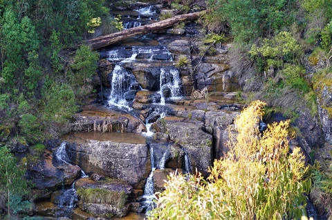 Masons Falls Circuit Trail