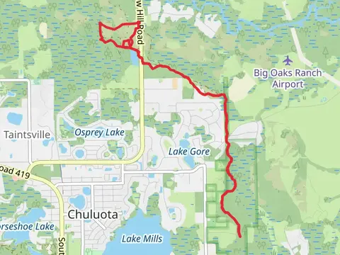 Snake and Florida Trail