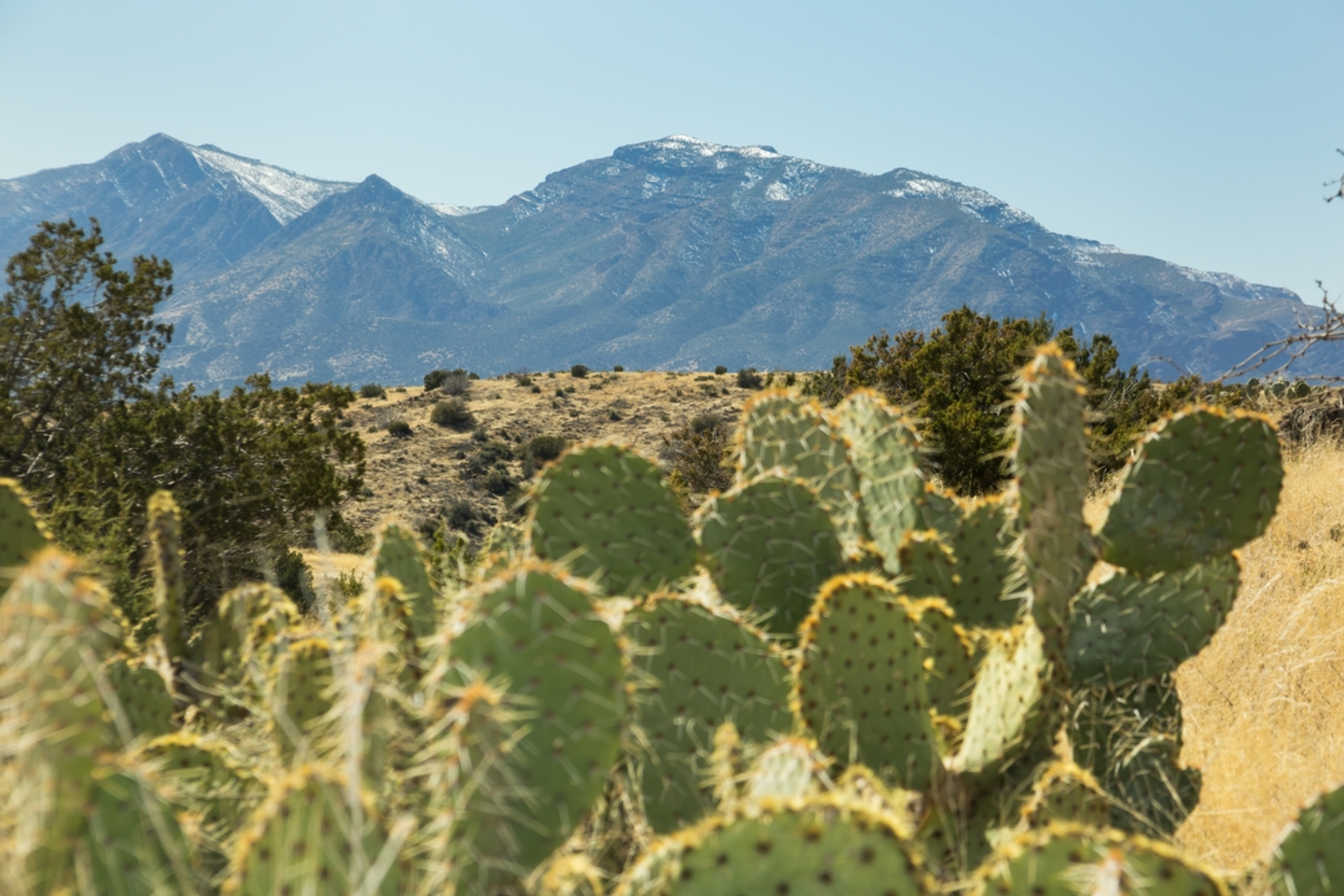 An image depicting the trail Sheep Creek via Saddle Mountain Trail and its surrounding area.