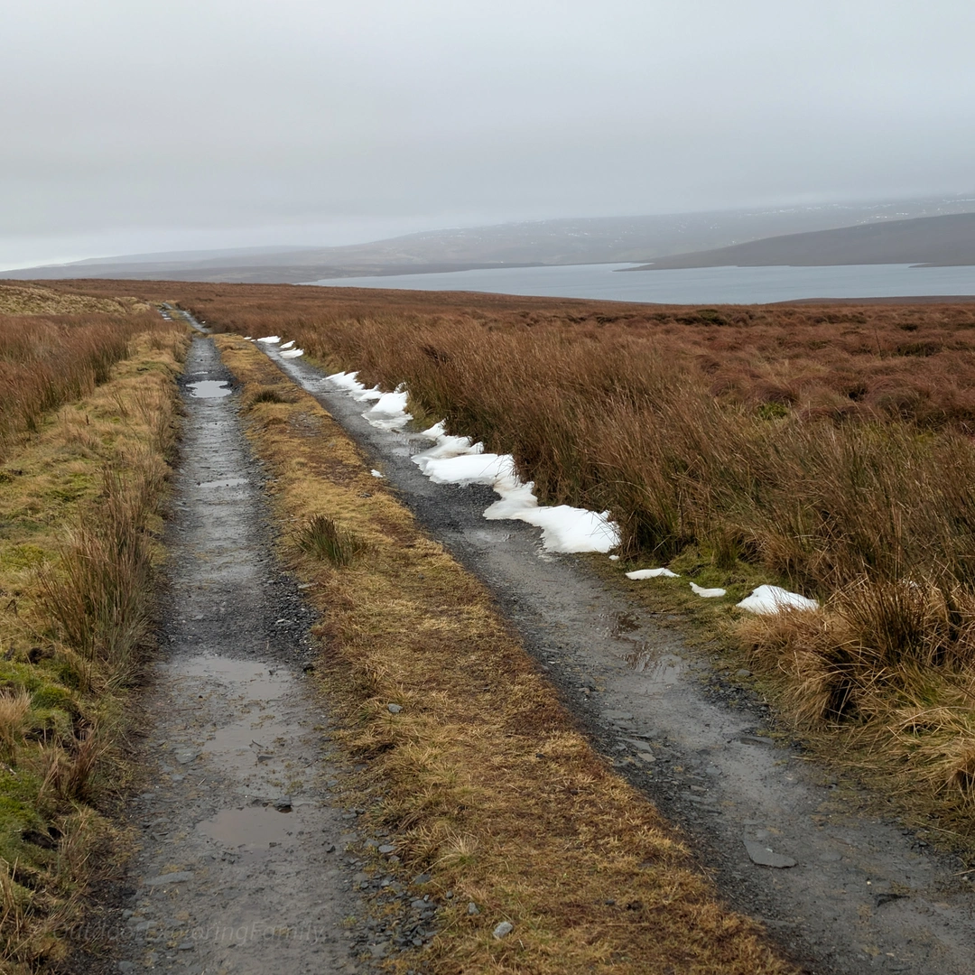 An image depicting the trail Cow Green Mine History Walk and its surrounding area.