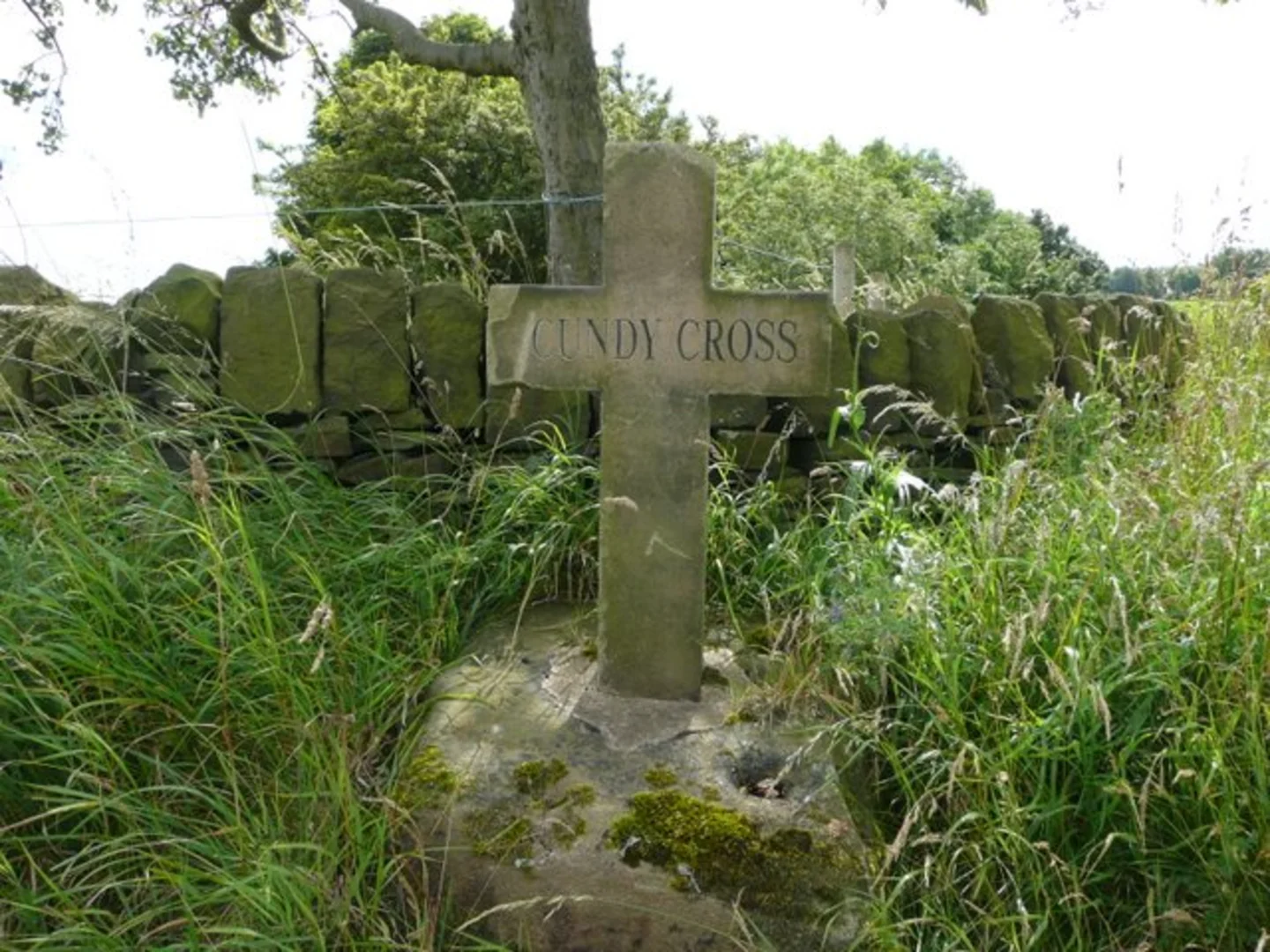 An image depicting the trail Barnsley to Wombwell Walk and its surrounding area.