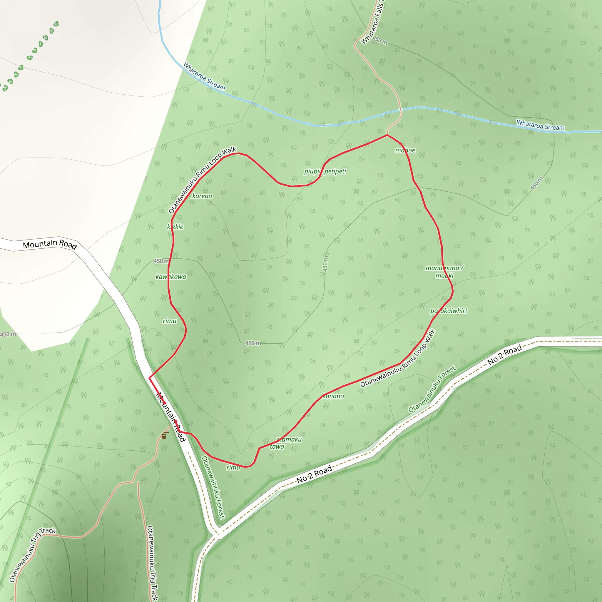 Otanewainuku - Rimu Loop Walk mobile static map