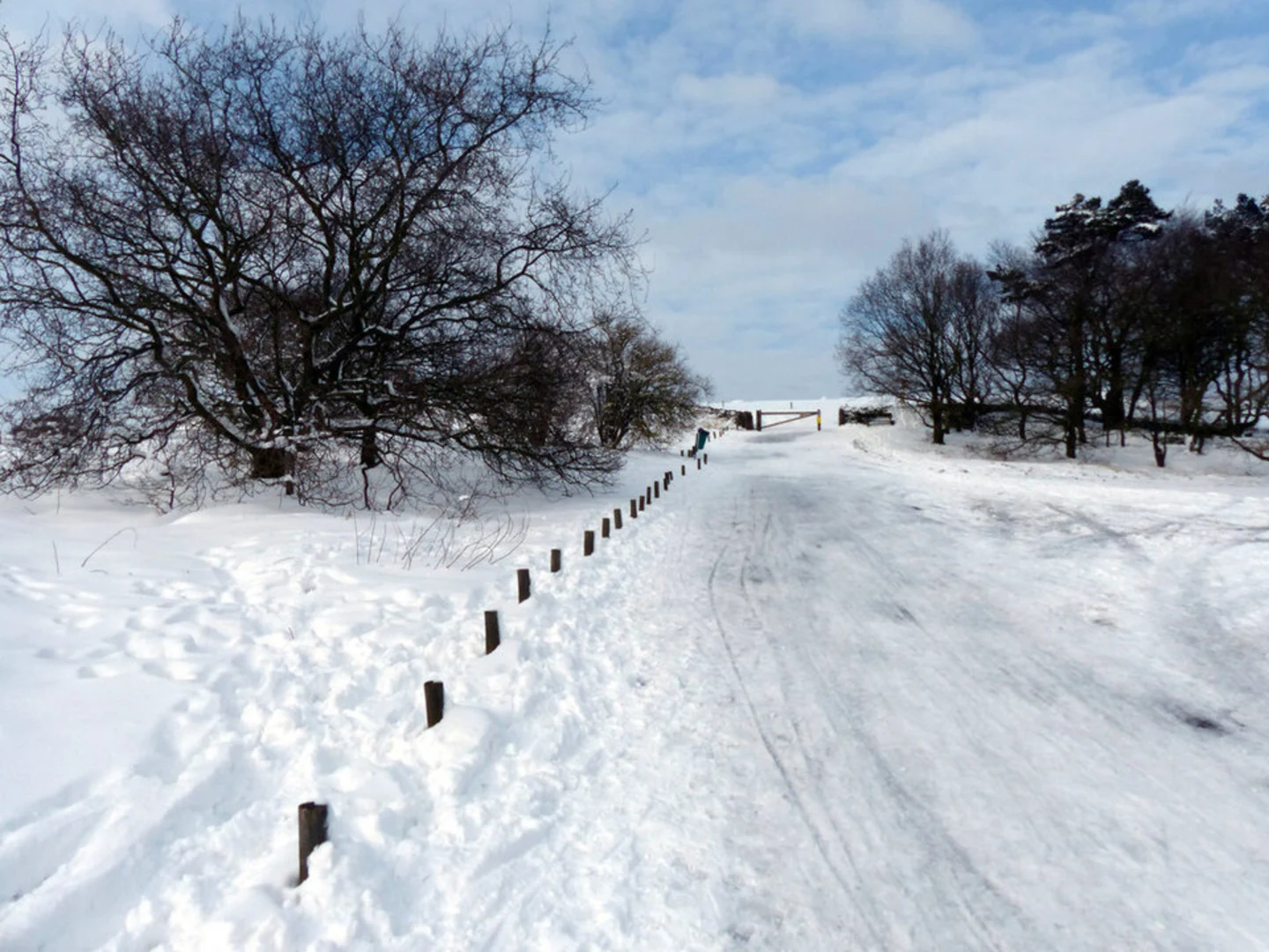 An image depicting the trail Beacon Hill Country Park Loop and its surrounding area.