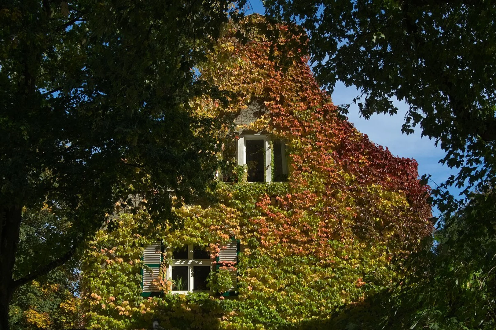 An image depicting the trail Geisberg via Der Wanderklassiker and Margarethenhoehe and its surrounding area.