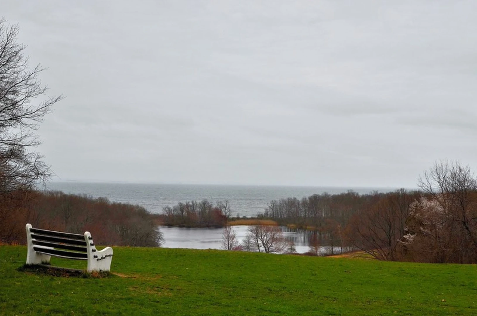 An image depicting the trail Caumsett State Park Loop and its surrounding area.