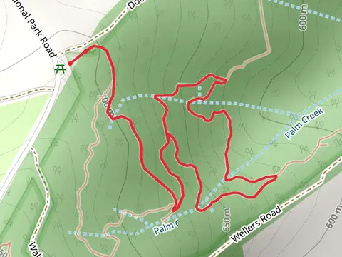 Palm Creek Circuit Track