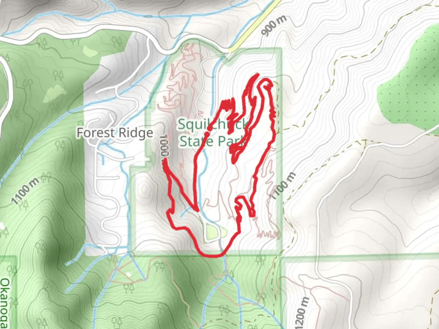 An image depicting the trail Yellow Jacket and Creature Comfort Loop and its surrounding area.