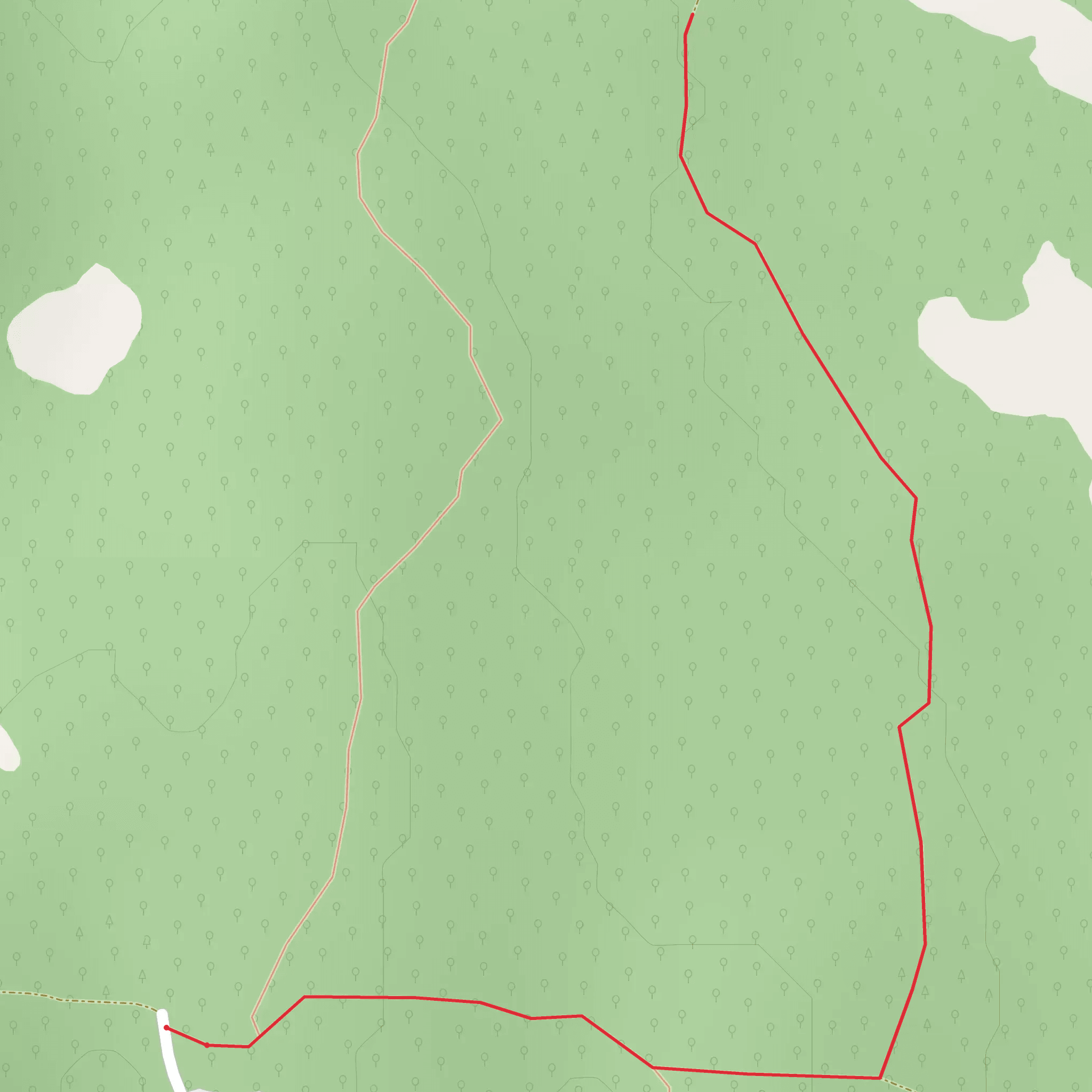 Spring Lake Road Walk - East mobile static map