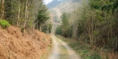 An image depicting the trail Epynt Way and its surrounding area.