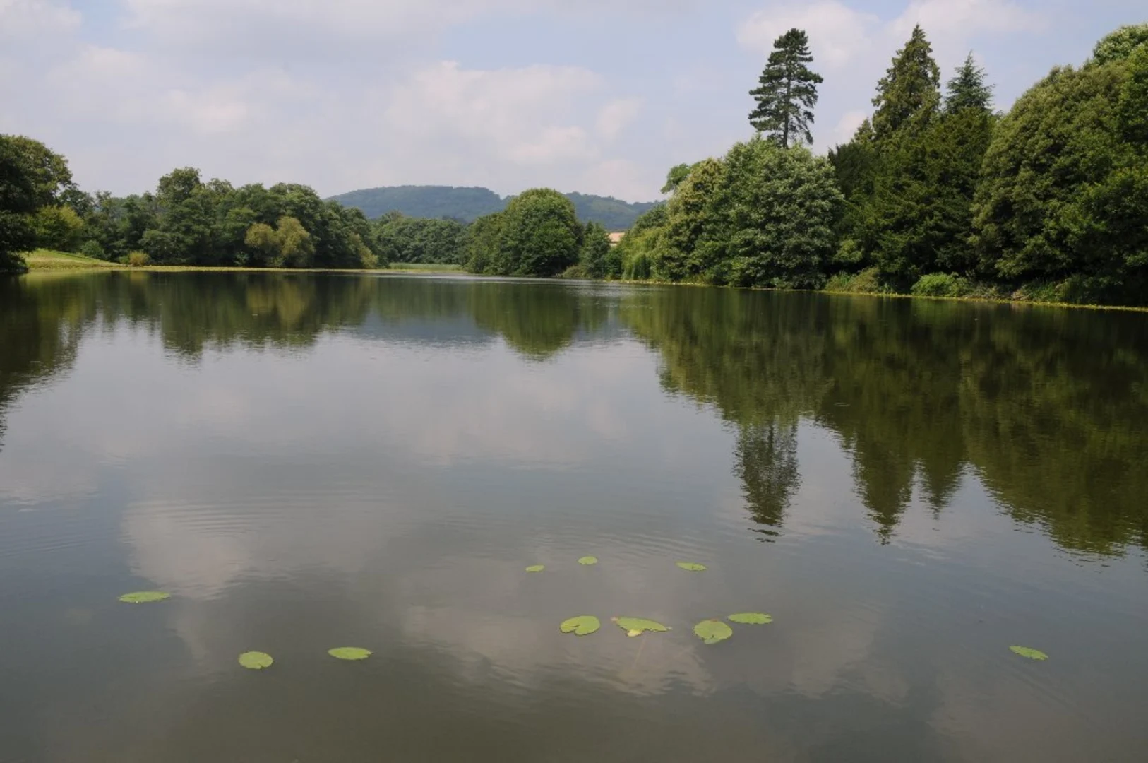 An image depicting the trail Witley Court Loop and its surrounding area.