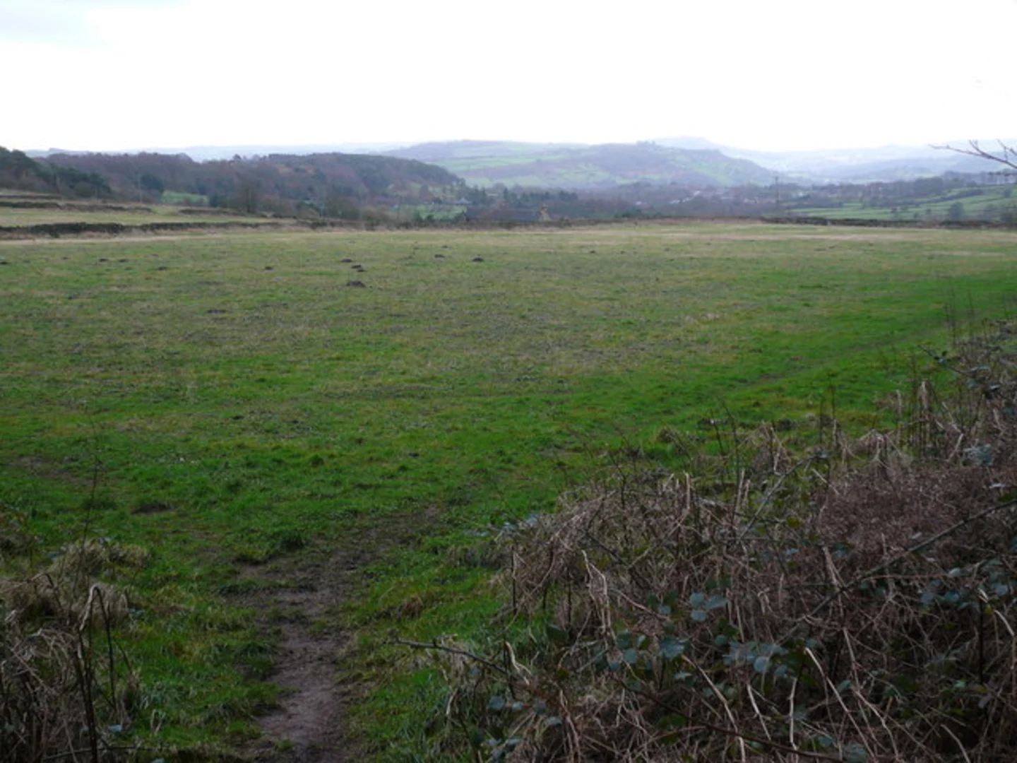 An image depicting the trail Bottom Moor and Bentleybrook Quarries Loop and its surrounding area.