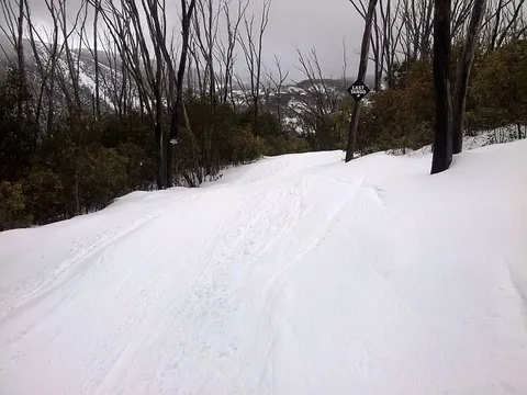 An image depicting the trail Home and Away Trail and its surrounding area.