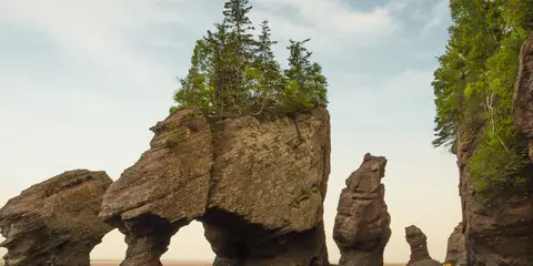 An image depicting the trail Fundy Circut and its surrounding area.