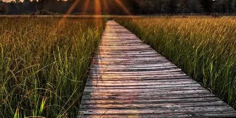 An image depicting the trail Prairie Grass Trail and its surrounding area.