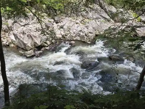 Laurel River Trail