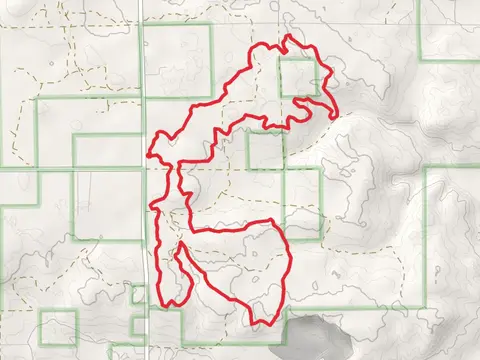Ogemaw Hills Pathway Full Loop