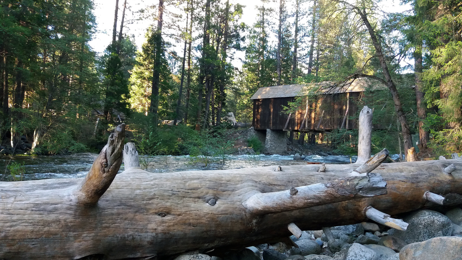 An image depicting the trail South Fork Merced Trail via Hites Cove Trail and its surrounding area.