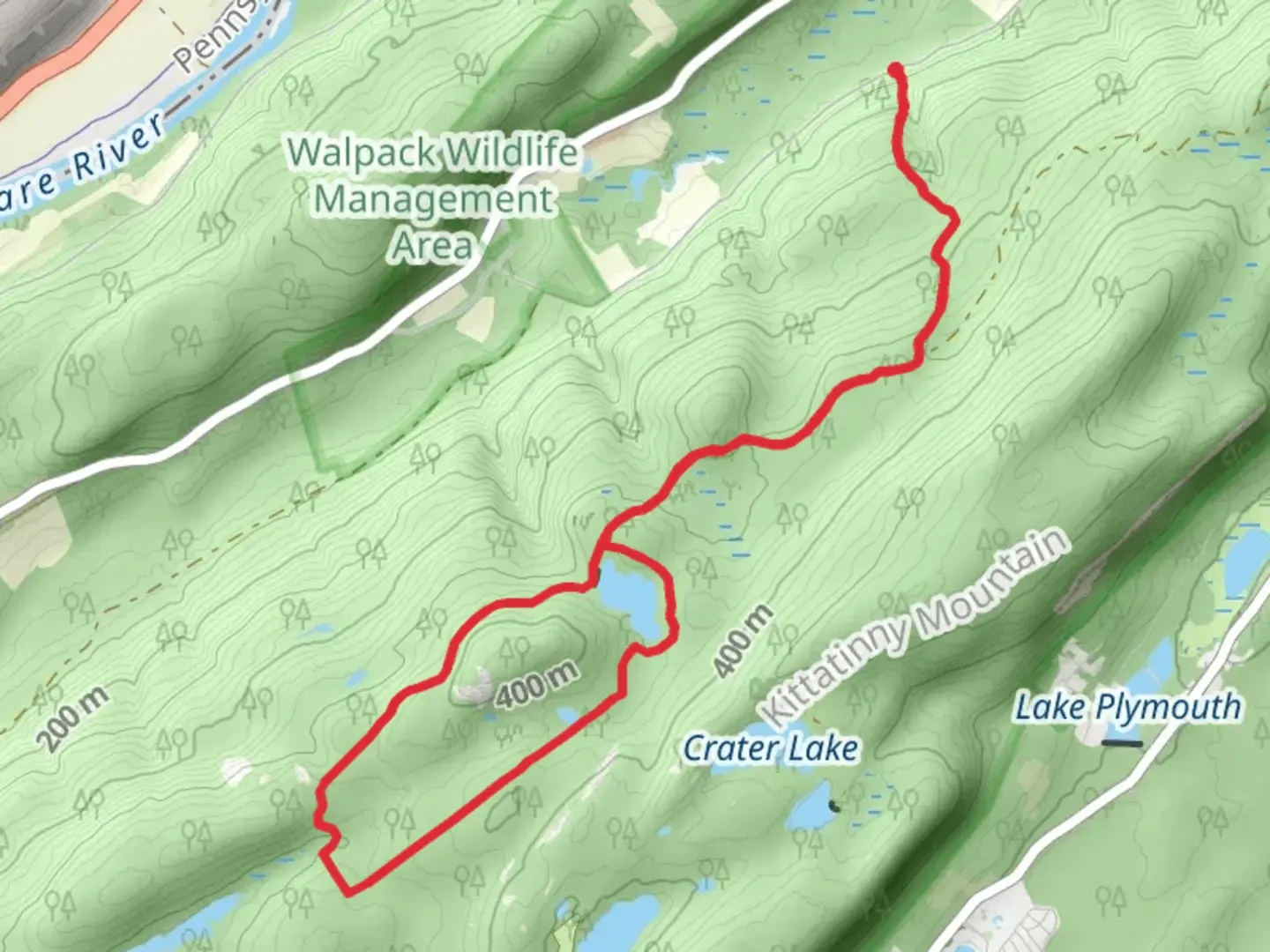 An image depicting the trail Blue Mt Lake, Hemlock Lake Loop and Buttermilk Falls Trail and its surrounding area.