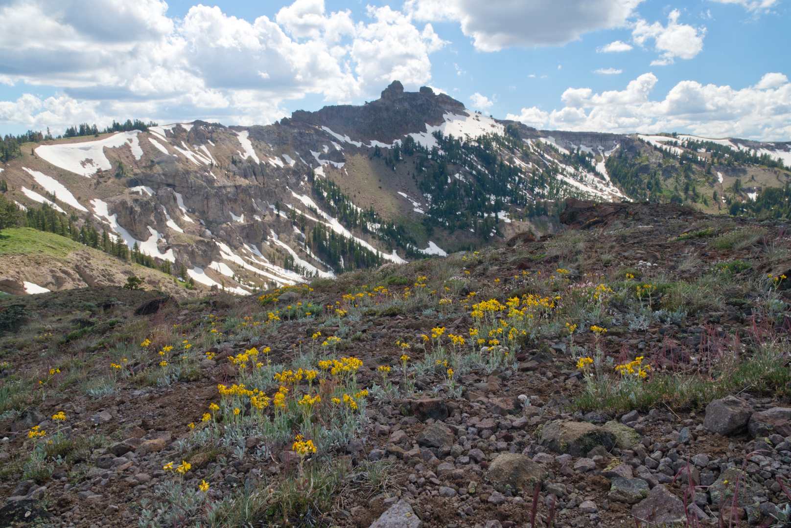 An image depicting the trail Castle Peak and Pacific Crest Loop Trail and its surrounding area.
