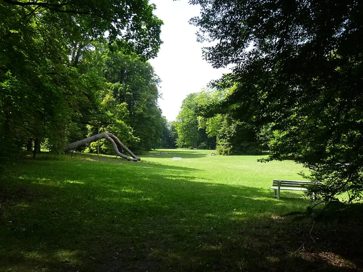 An image depicting the trail Uni Weg Loop and its surrounding area.