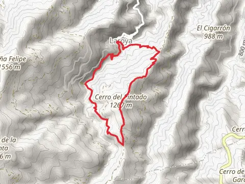 The Mills of Laroya PR A 366