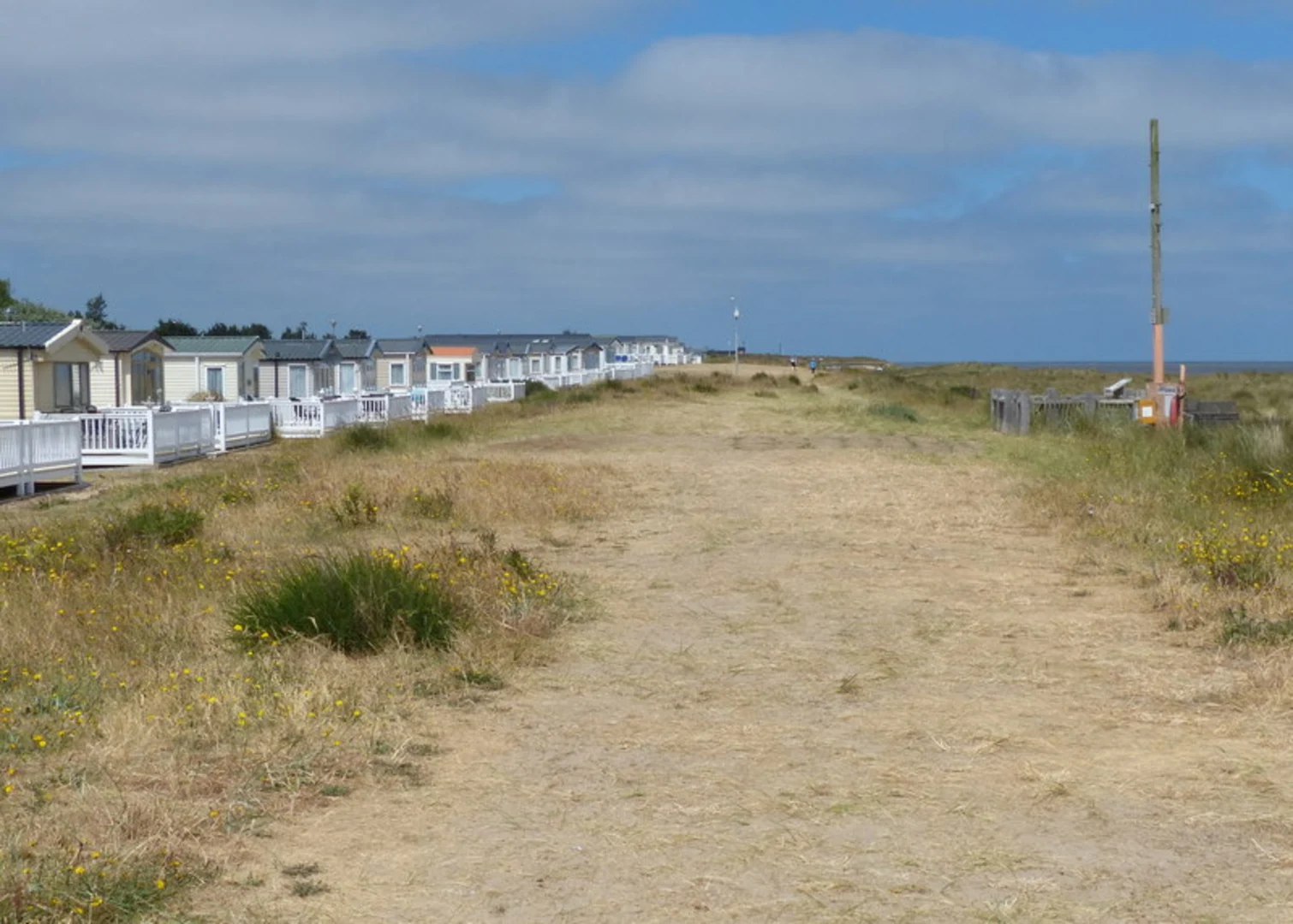 An image depicting the trail Thorpe Forest Short Walk and its surrounding area.