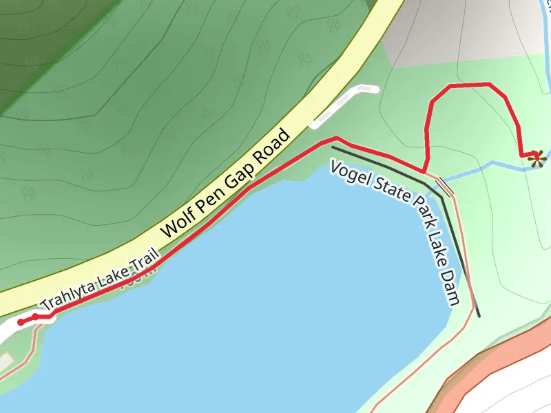 Vogel State Park Road