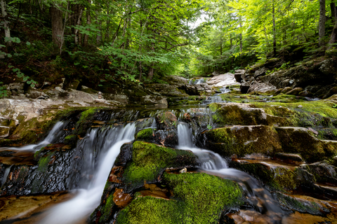 An image depicting the trail Winniweta Falls Trail and its surrounding area.