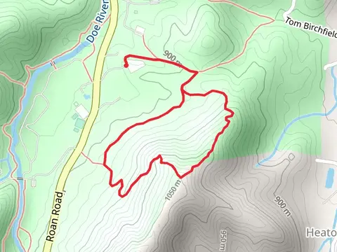 Forest Road Loop Trail from Roan Road