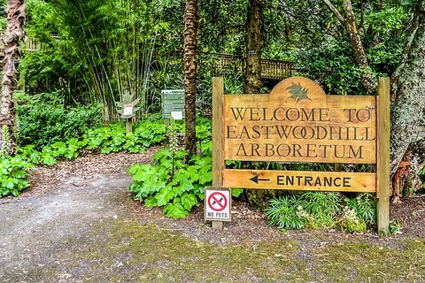 Eastwood Hill Green Track