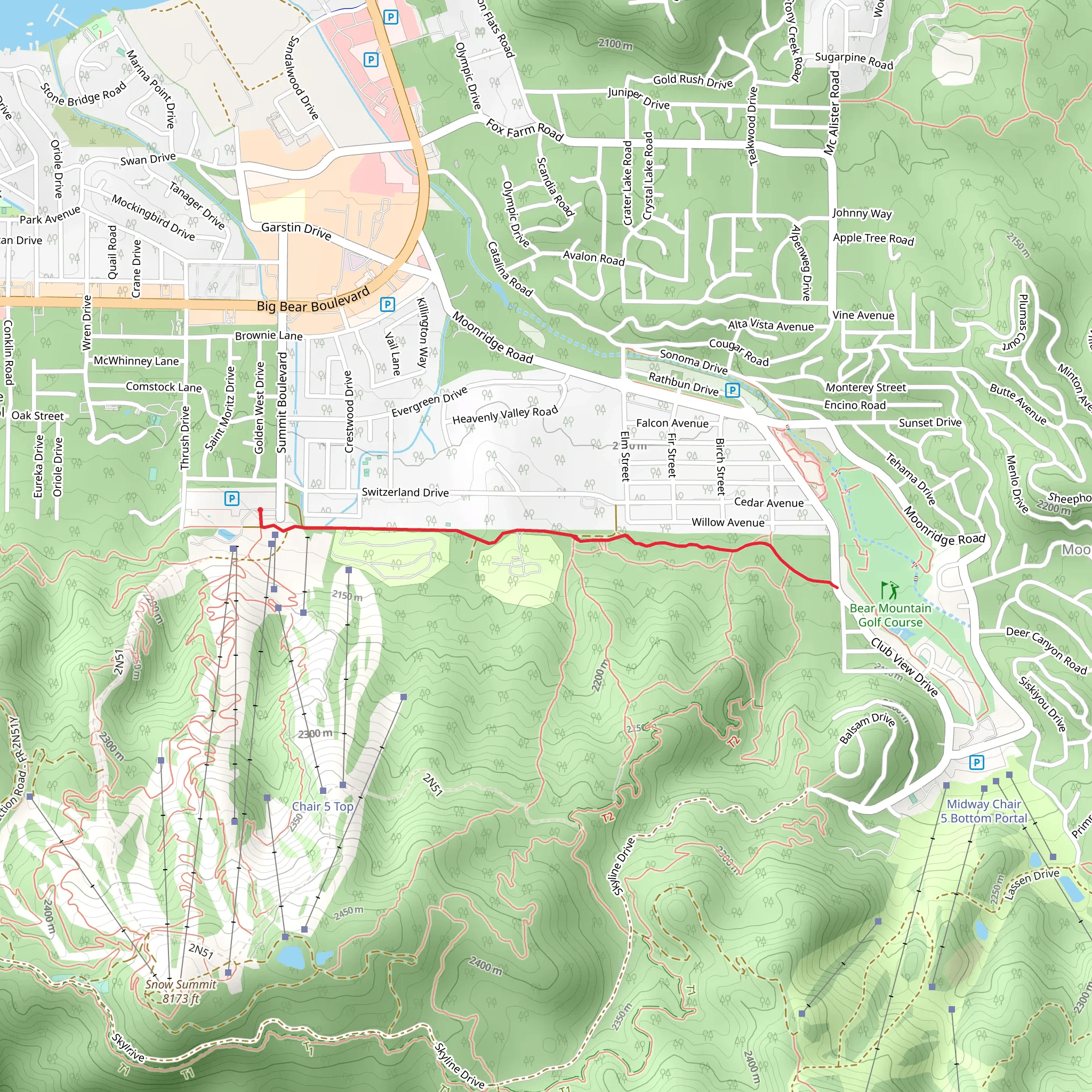 Bristlecone Trail Out and Back mobile static map