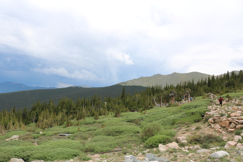 An image depicting the trail Bristlecone Loop Trail and its surrounding area.