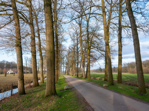 Doornse Gat and Landgoed Ruiterberg Loop