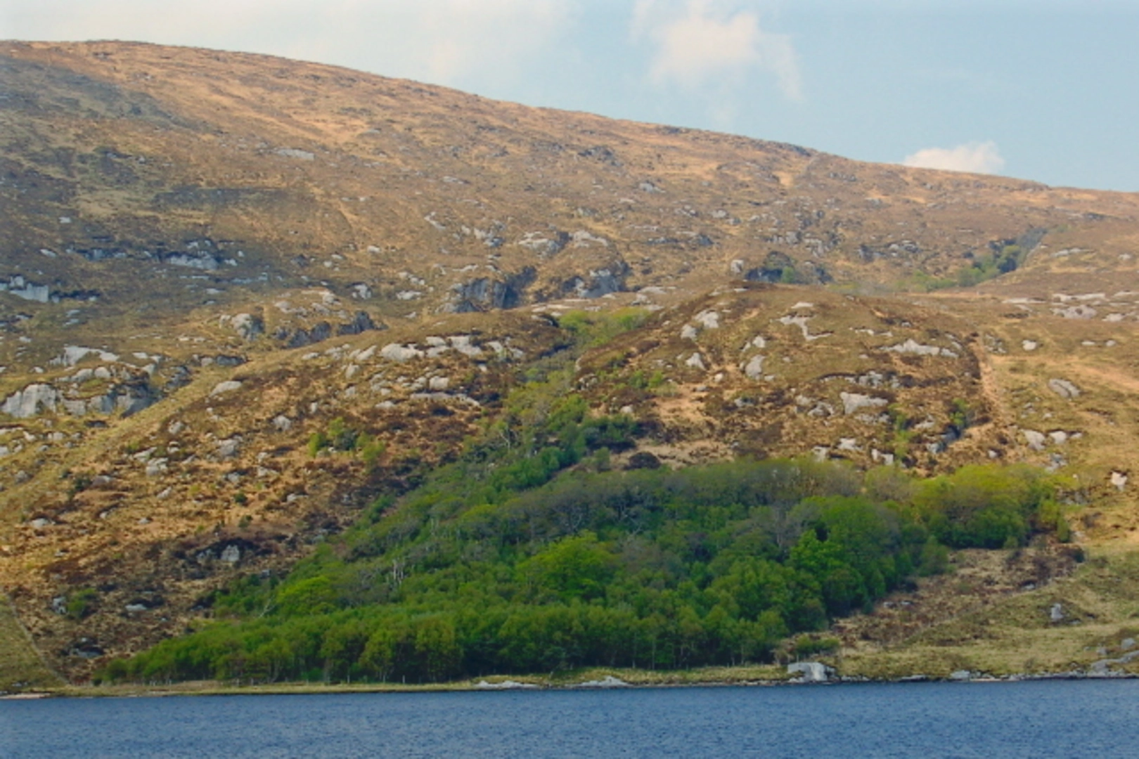 An image depicting the trail Dooish - Glenveagh Loop and its surrounding area.