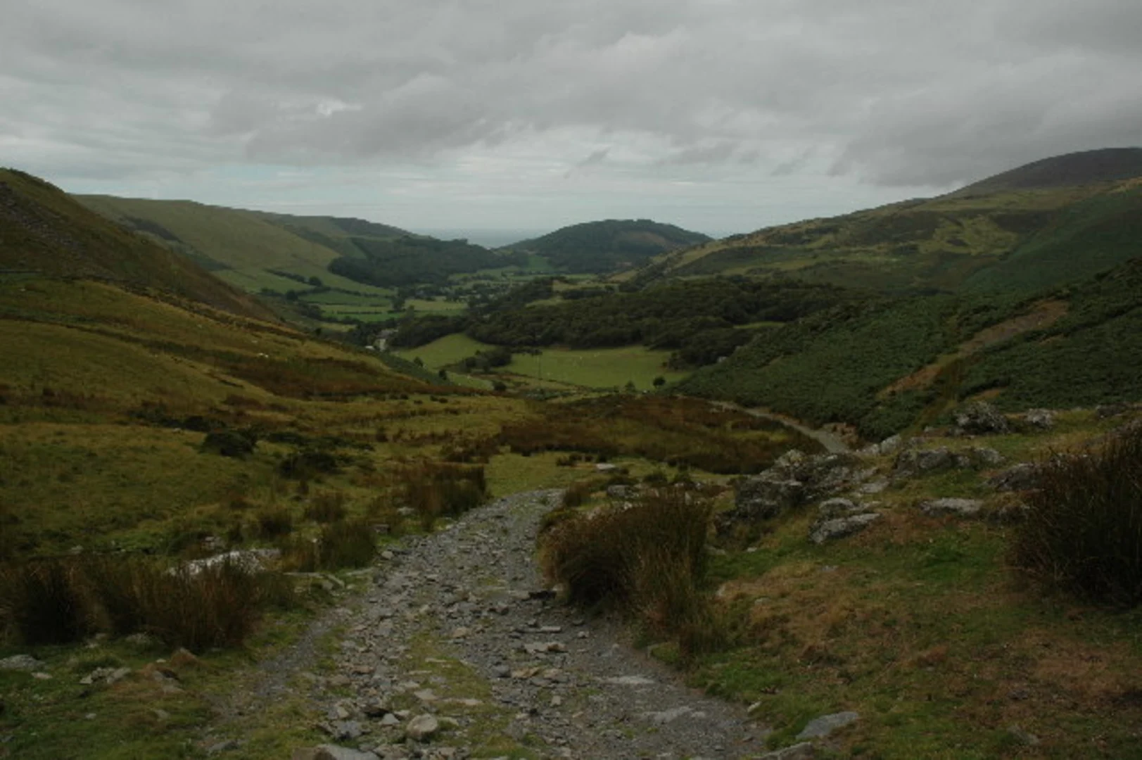 An image depicting the trail A short Walk from Happy Valley and its surrounding area.