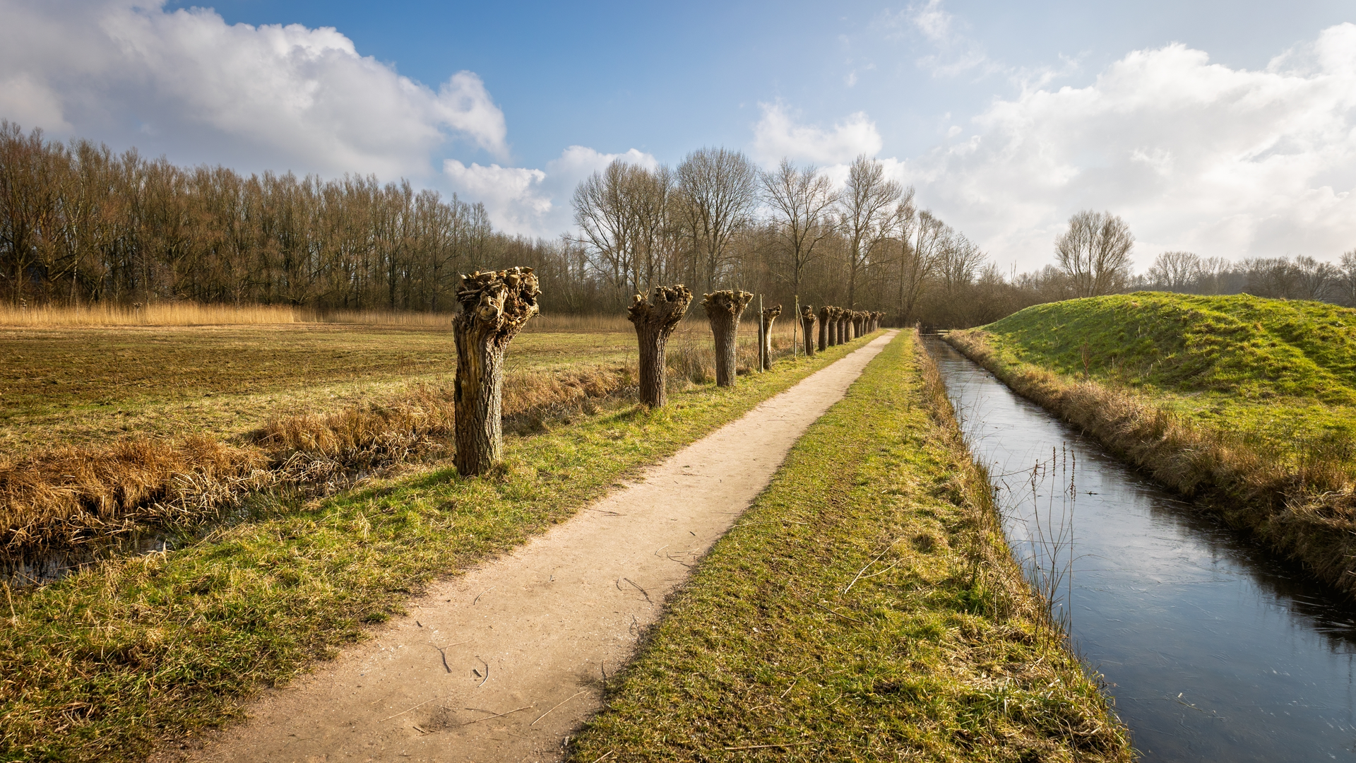 An image depicting the trail Beekmanpad, Hoog Zuthemerpad and J. J. Gorterlaan Loop and its surrounding area.