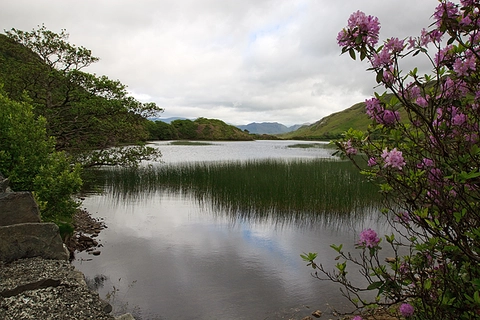 An image depicting the trail Doughruagh Loop and its surrounding area.