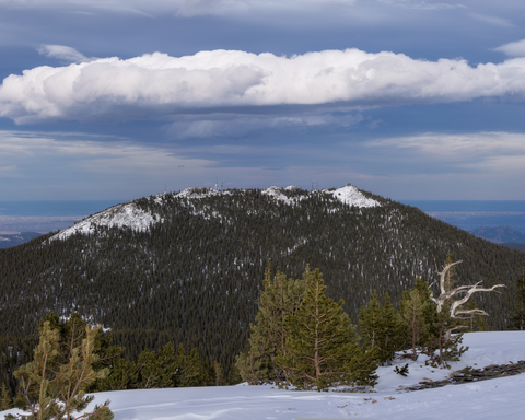 An image depicting the trail Warren Gulch Trail and its surrounding area.