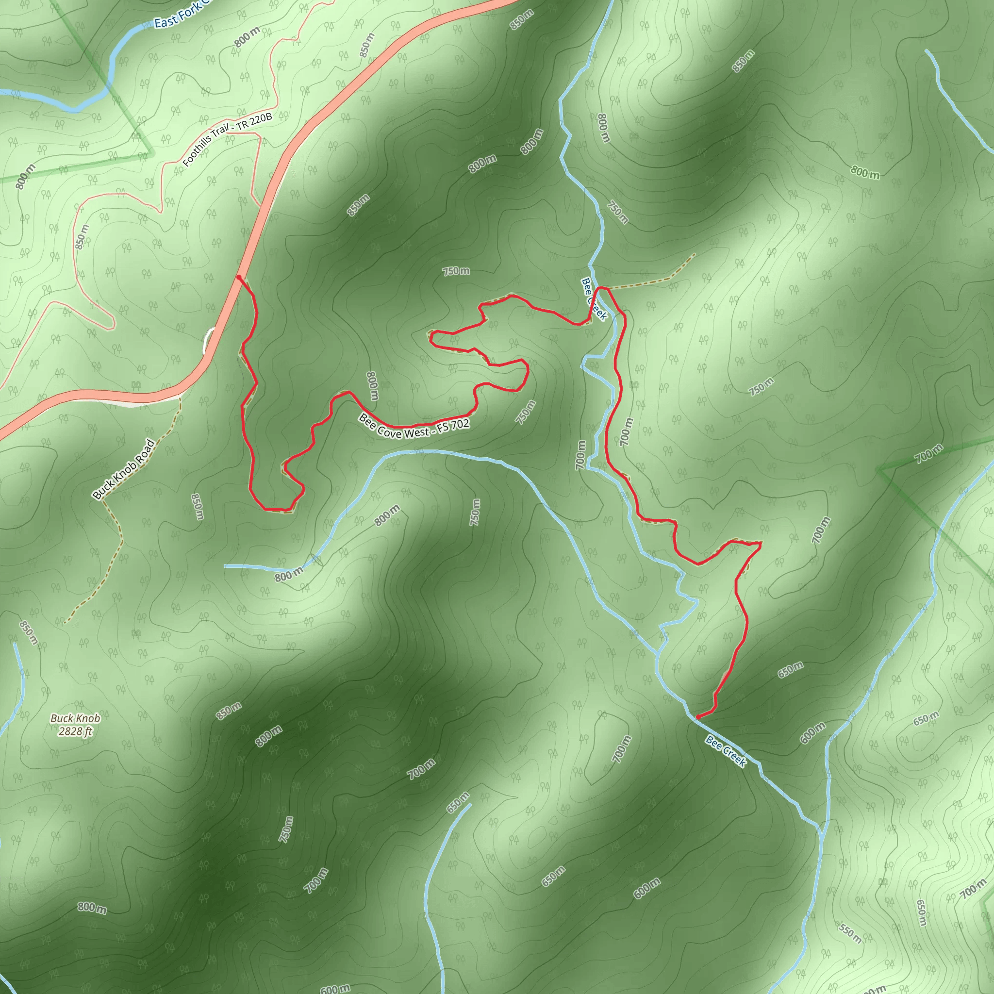 Walk along Bee Creek mobile static map